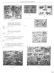 Elastolin, Elastolin - F Neuheiten Nachtrag, mit vollständigem Soldaten-Verzeichnis - 1930, Seite 32