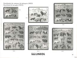 Lineol, Lineol - Catalogue Spécial No. 10, Catalogo Speciale No. 10 (französisch / italienisch) - 1937, Seite 41