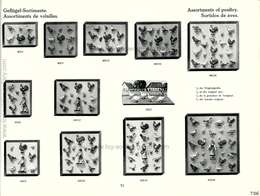 Lineol, Illustrierter Spezialkatalog über Lineol Soldaten und Burgen - 1931, Seite 71